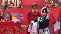 《黄岛区海韵艺术团》茂腔古装戏《罗衫记》（四）下载