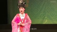 海南戏曲 9岁小魏坤被授予全国 小梅花 金奖