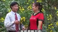 云南山歌剧《前娘狠后娘毒第二集》 标清 (2)下载