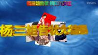 二人转正戏《杨三姐告状》《剧》