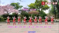 云裳广场舞《唱不完的情歌》梅子老师原创附