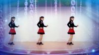 玫香广场舞 32步《迪斯科自由步》2017最新
