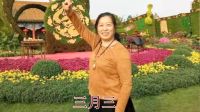 2017年宜阳明萱广场舞简单易学水兵舞《三月