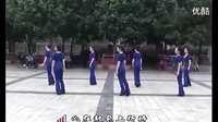周思萍广场舞《浪漫的草原》高清