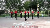 周思萍广场舞《山丹丹花开红艳艳》标清