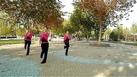 云裳广场舞《桃花运恰恰》教学分解动作