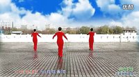 云裳广场舞《山花花》背面及教学版_标清