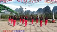 春英广场舞《真心换真情》正背面演标清