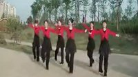 广场舞 教学云裳广场舞动动 高清