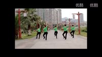 杨艺广场舞杨丽萍广场舞