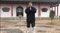 道家易筋经 标清