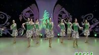 杨艺全民广场舞《油菜花之恋》