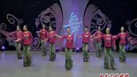 杨艺全民广场舞《月光下的新娘》