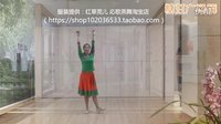 应子广场舞《梦见你的那一夜》新编附教学