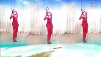 《醉月亮》广场舞背面分解动作动动下载