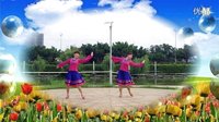 广场舞草原醉动动广场舞《我要醉在草原上》下载