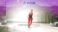杨艺广场舞望月第八季