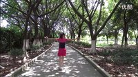 杨艺广场舞广场舞《你不来我不老》