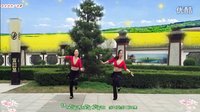 动动广场舞《多嘎多耶》背面分解动作