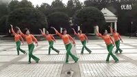 《竹楼情思》正反面周思萍广场舞高清