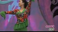 杨艺广场舞《我爱西湖花和水 》高清