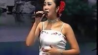 二人转《桃花运》好听