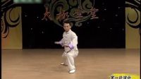 自学太极拳视频  赵幼斌杨氏太极拳85式  太