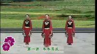 杨艺广场舞《好日子》含分解动作