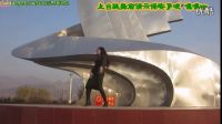 金芙蓉广场舞 吴梓涵《爱疯了》室内外正反