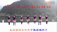 动动广场舞《亲爱的别想我》简单拉丁风格健身舞下载