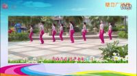 《美丽姑娘花一样》糖豆广场舞高清