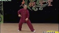 陈国灿太极拳 陈式太极拳拳法拳理 42式太极