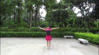 广场舞《火花》紫蝶踏歌广场舞