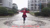 杨艺广场舞广场舞《草原情歌》