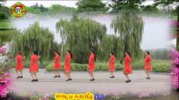 杨艺广场舞云裳广场舞《火火的姑娘》