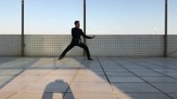 周良善陈式太极拳 陈王廷太极拳