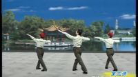 杨艺广场舞《军歌声声》讲课1