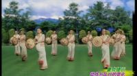 杨艺广场舞《大地飞歌》队形演示1