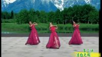 杨艺广场舞《我爱你塞北的雪》讲课1