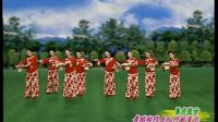 杨艺广场舞《美丽的心情》队形演示1