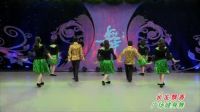 杨艺广场舞《长发飘香》表演1