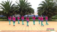 杨艺广场舞广场舞视频大全