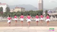 杨丽萍广场舞紫蝶踏歌广场舞
