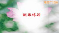応子广场舞《新达坂城的姑娘》改编附教学