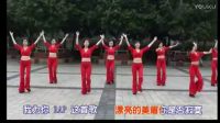 周思萍广场舞《伤不起》