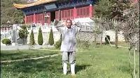 少林易筋经十二式A 标清