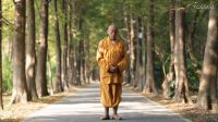 易筋经 演慧法师演练版（下）