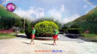 百合飘飘广场舞《梦见你的那一夜》编舞応子