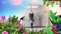 关辛庄叶子广场舞《韦小宝DJ》