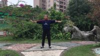 健身气功易筋经演练